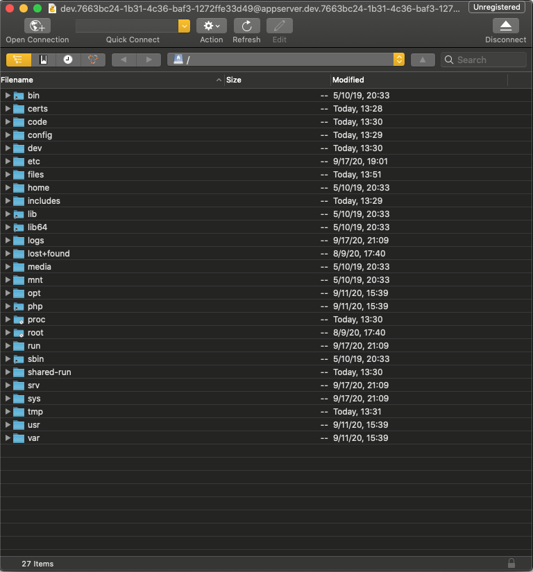 Pantheon Files in Cyberduck