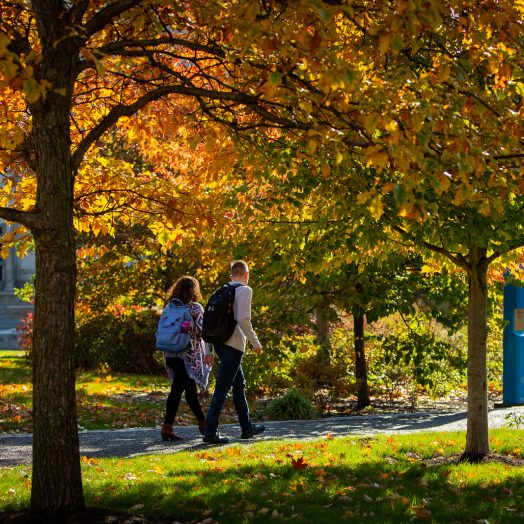 Students walk on South Campus on a sunny day in fall, photographed in October 2019. Photographer: Meredith Forrest Kulwicki