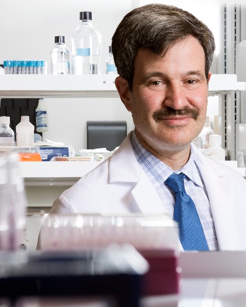 Headshot of Andrew Talal