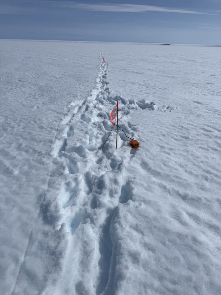 Seismometer being deployed