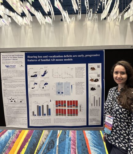 Sevda's ARO26 poster