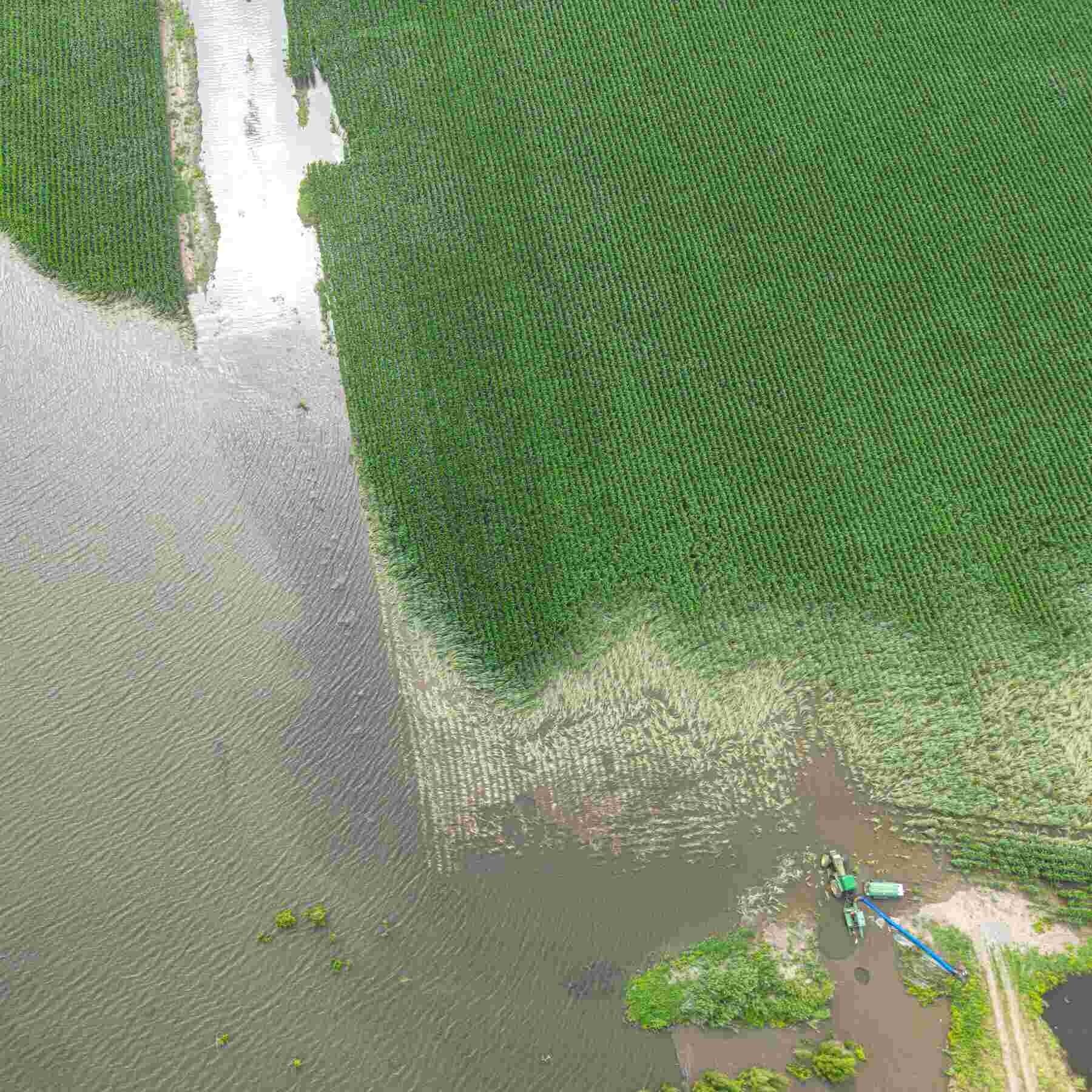 Aerial image of agricultural runoff, Mississippi, USA