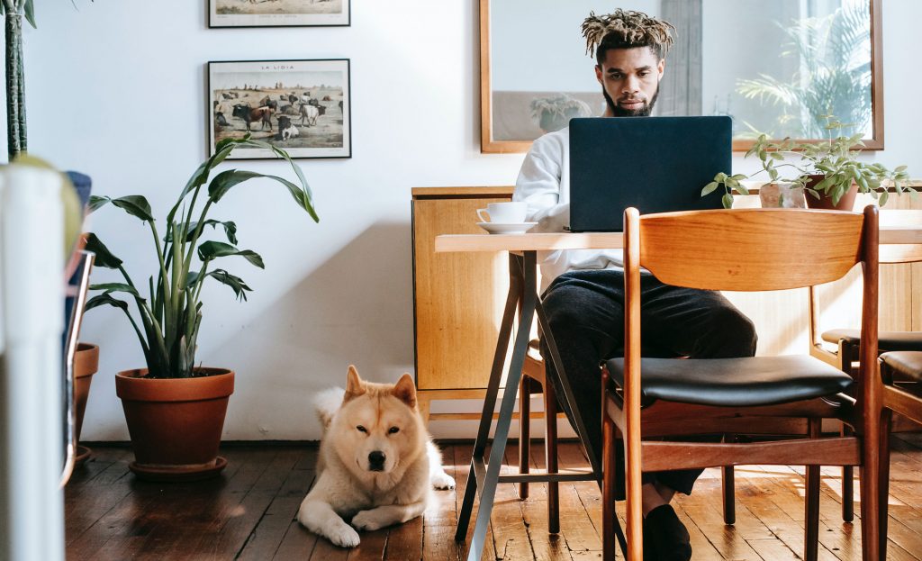 Man telecommutes from his dining room, with his dog nearby.