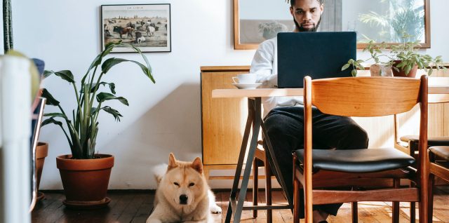 Man telecommutes from his dining room, with his dog nearby.
