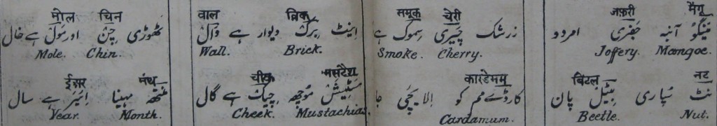 Hindi-Urdu-English vocabulary in verse